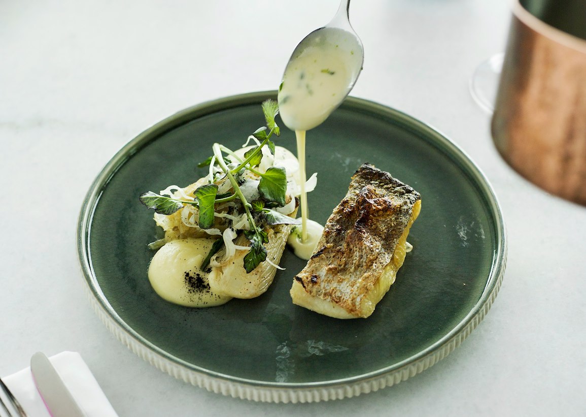 Zurück zu den Wurzeln